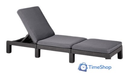 Шезлонг Keter Daytona (серый) - Изображение №1 — Интернет-магазин Time-Shop