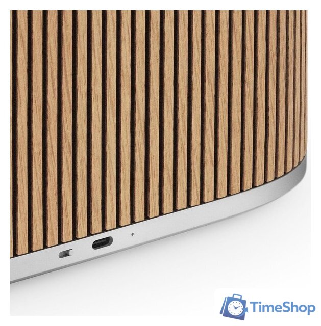 Беспроводная аудиосистема Bang & Olufsen BeoSound A5 (oak) - Изображение №7 — Интернет-магазин Time-Shop
