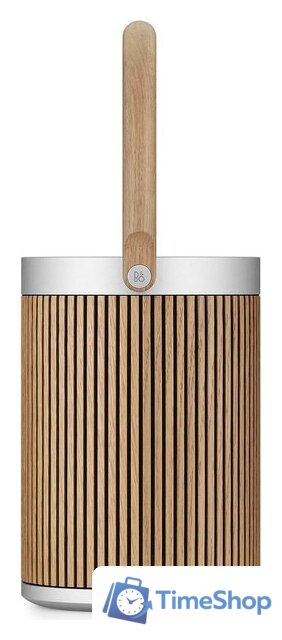 Беспроводная аудиосистема Bang & Olufsen BeoSound A5 (oak) - Изображение №6 — Интернет-магазин Time-Shop