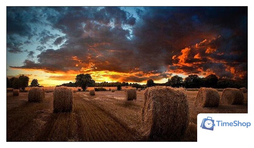 Информационная панель Samsung VM55T-U - Изображение №1 — Интернет-магазин Time-Shop