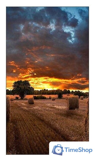 Информационная панель Samsung VM55T-U - Изображение №6 — Интернет-магазин Time-Shop