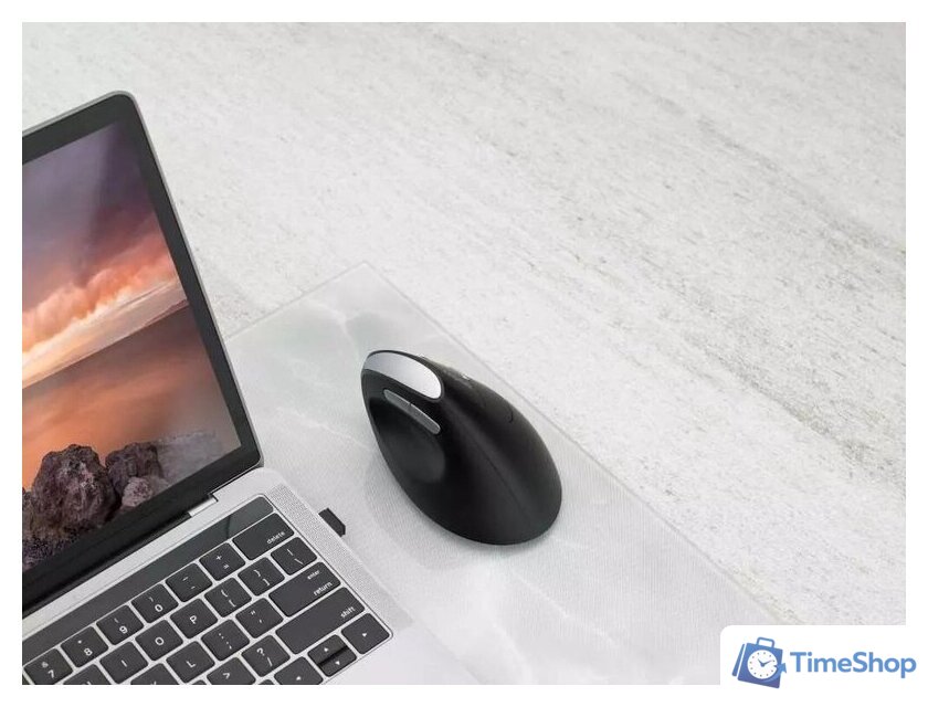 Вертикальная мышь Rapoo EV250 (черный) - Изображение №3 — Интернет-магазин Time-Shop