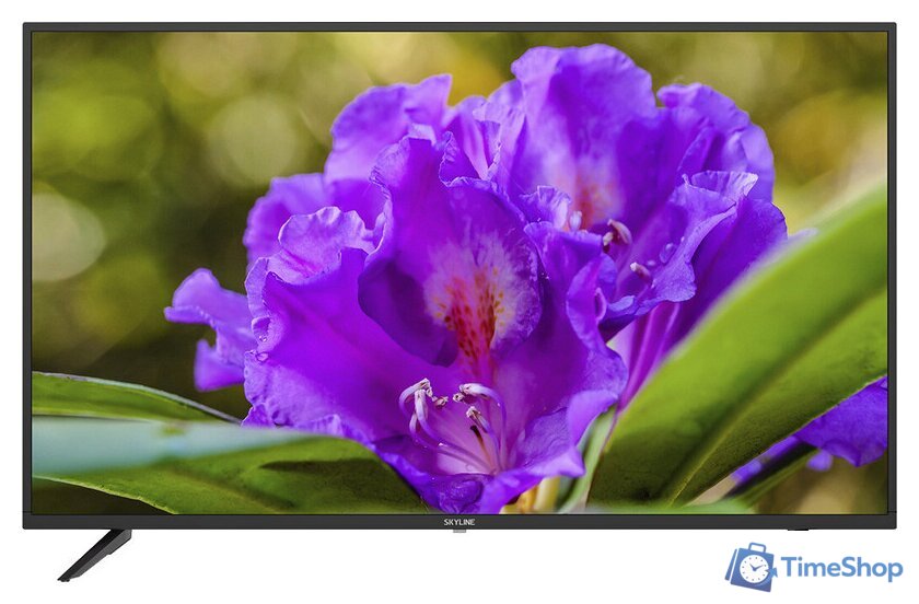 Телевизор Skyline 43LT5901 - Изображение №1 — Интернет-магазин Time-Shop