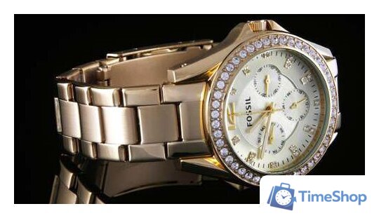 Наручные часы Fossil ES3203 - Изображение №9 — Интернет-магазин Time-Shop