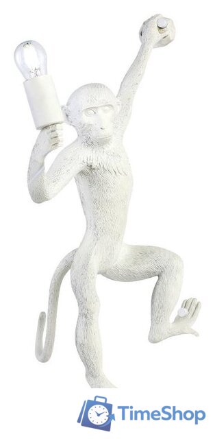 Бра Evoluce Tenato SLE115111-01 - Изображение №1 — Интернет-магазин Time-Shop