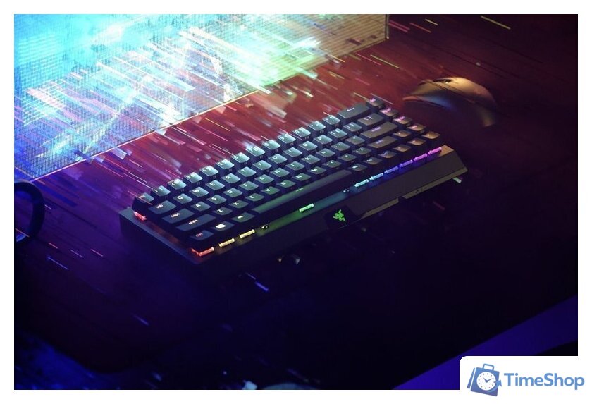 Клавиатура Razer Blackwidow V3 Mini HyperSpeed Green Switch - Изображение №8 — Интернет-магазин Time-Shop