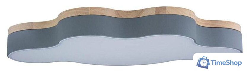 Светильник-тарелка LOFT IT Axel 10005/36 Grey - Изображение №1 — Интернет-магазин Time-Shop