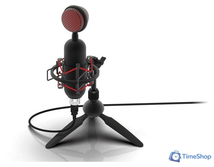 Проводной микрофон Ritmix RDM-230 USB Eloquence - Изображение №5 — Интернет-магазин Time-Shop