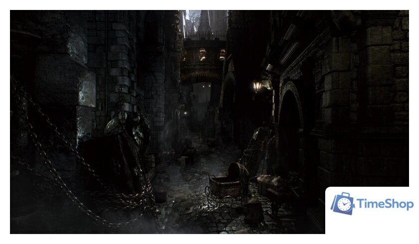  Bloodborne: Порождение крови. Game of the Year Edition для PlayStation 4 - Изображение №5 — Интернет-магазин Time-Shop
