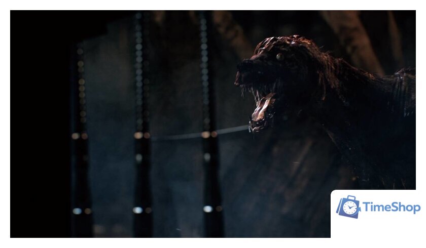  Bloodborne: Порождение крови. Game of the Year Edition для PlayStation 4 - Изображение №7 — Интернет-магазин Time-Shop