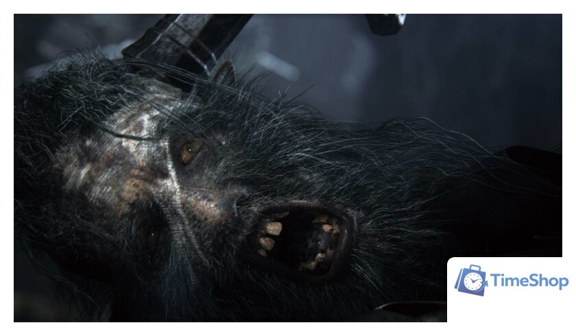  Bloodborne: Порождение крови. Game of the Year Edition для PlayStation 4 - Изображение №9 — Интернет-магазин Time-Shop
