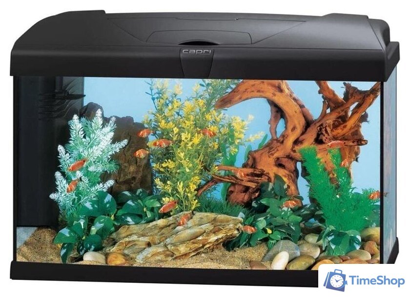 Аквариумный набор Ferplast Capri 50 Led 60 л (черный) - Изображение №1 — Интернет-магазин Time-Shop