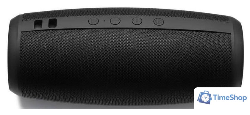 Беспроводная колонка Niceboy Raze 2 Ego - Изображение №3 — Интернет-магазин Time-Shop