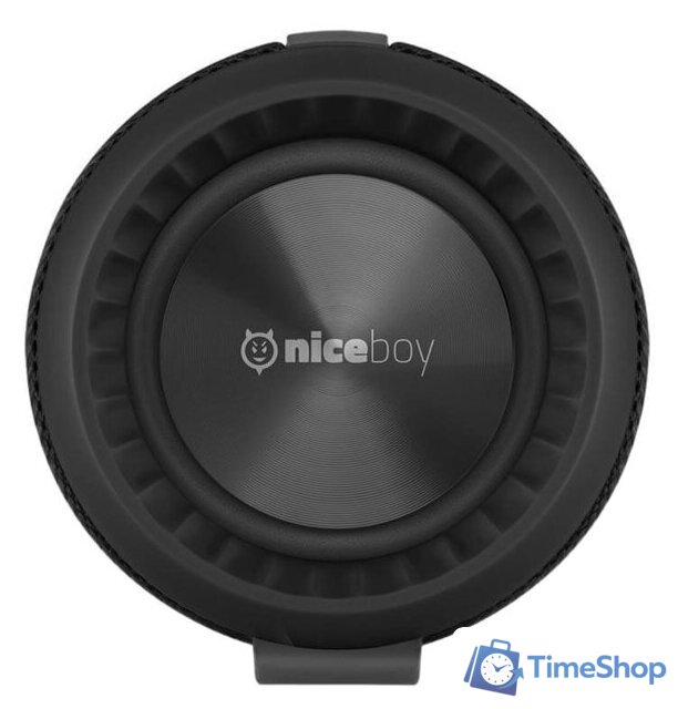 Беспроводная колонка Niceboy Raze 2 Ego - Изображение №5 — Интернет-магазин Time-Shop