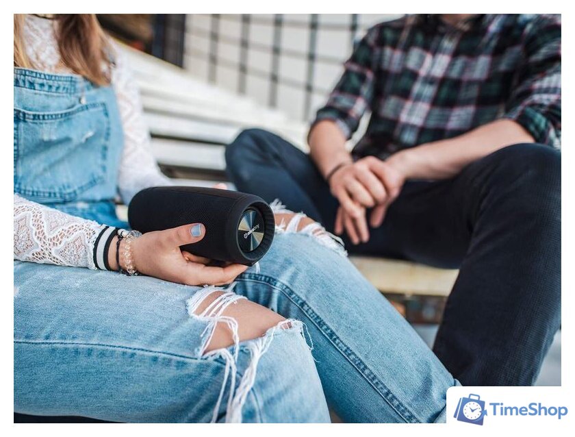 Беспроводная колонка Niceboy Raze 2 Ego - Изображение №7 — Интернет-магазин Time-Shop