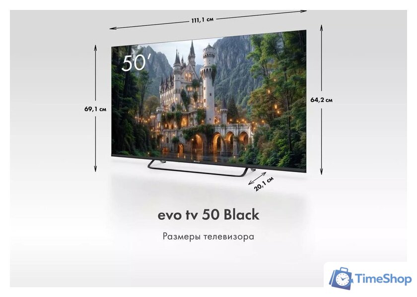 Телевизор Evo TV 50 Black TD0051753RU - Изображение №5 — Интернет-магазин Time-Shop