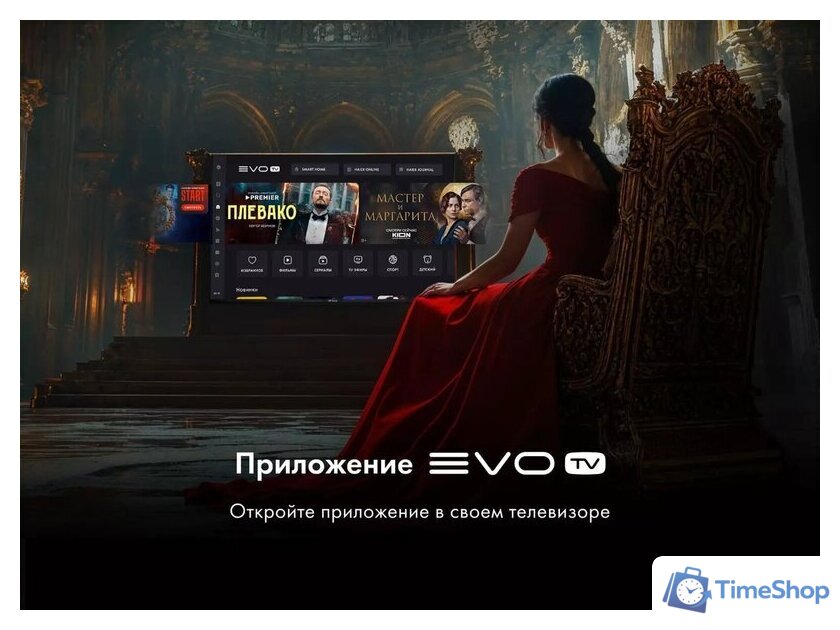 Телевизор Evo TV 50 Black TD0051753RU - Изображение №10 — Интернет-магазин Time-Shop