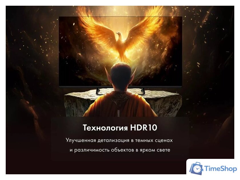 Телевизор Evo TV 50 Black TD0051753RU - Изображение №9 — Интернет-магазин Time-Shop