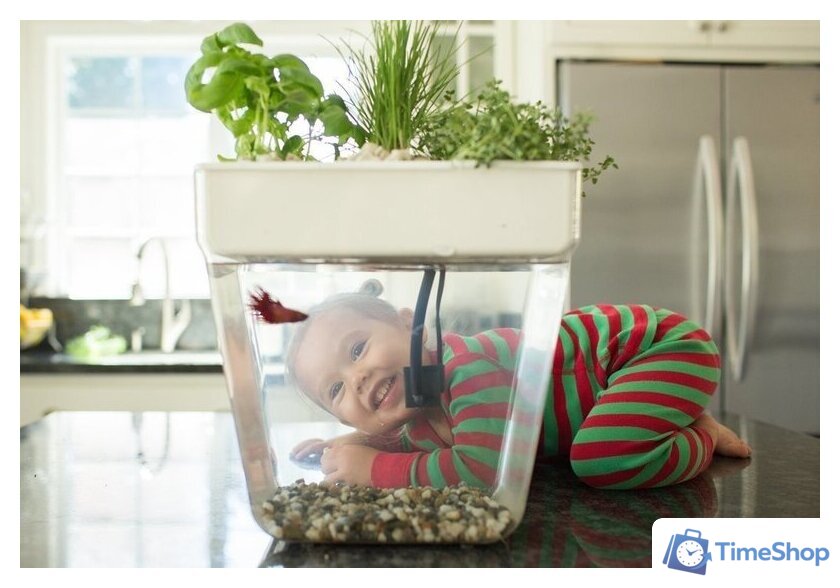 Акваферма Назад к истокам AquaFarm 11 л (белый) - Изображение №2 — Интернет-магазин Time-Shop