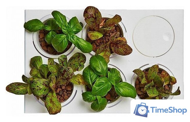 Акваферма Назад к истокам AquaFarm 11 л (белый) - Изображение №6 — Интернет-магазин Time-Shop