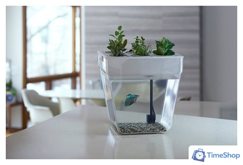 Акваферма Назад к истокам AquaFarm 11 л (белый) - Изображение №5 — Интернет-магазин Time-Shop