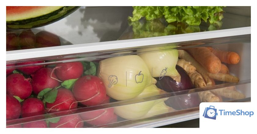 Холодильник Amica BK3045.4 NF - Изображение №9 — Интернет-магазин Time-Shop