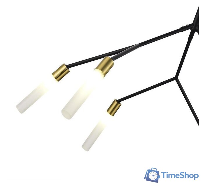 Подвесная люстра Evoluce SLE1129-403-06 - Изображение №4 — Интернет-магазин Time-Shop