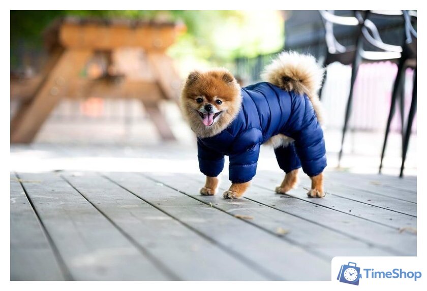 Комбинезон для животных Puppia Jumpesuit А PAPD-JM1672-NY-XXL (синий) - Изображение №4 — Интернет-магазин Time-Shop