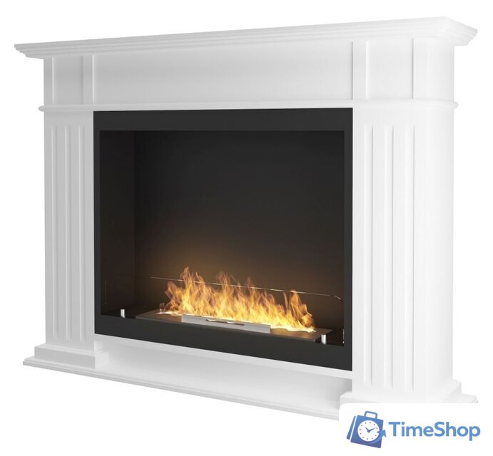 Биокамин Infire Inportal 1 - Изображение №1 — Интернет-магазин Time-Shop