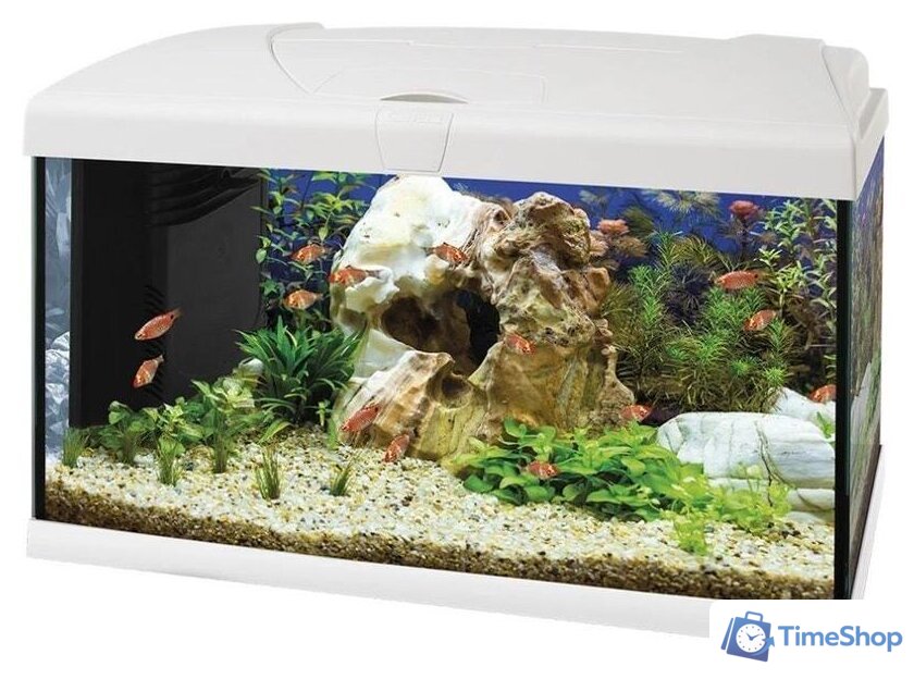 Аквариумный набор Ferplast Capri 50 Led 60 л (белый) - Изображение №1 — Интернет-магазин Time-Shop