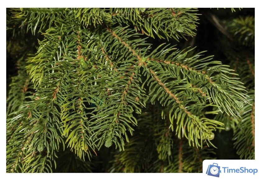 Ель National Tree Company Таежная ТЖ-150 150 см - Изображение №2 — Интернет-магазин Time-Shop