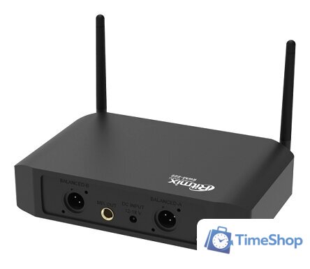 Радиосистема Ritmix RWM-222 - Изображение №4 — Интернет-магазин Time-Shop