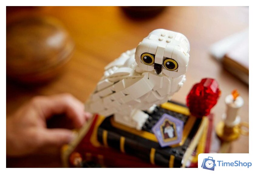 Конструктор LEGO Harry Potter 76466 Коллекционное издание «Философский камень» - Изображение №4 — Интернет-магазин Time-Shop