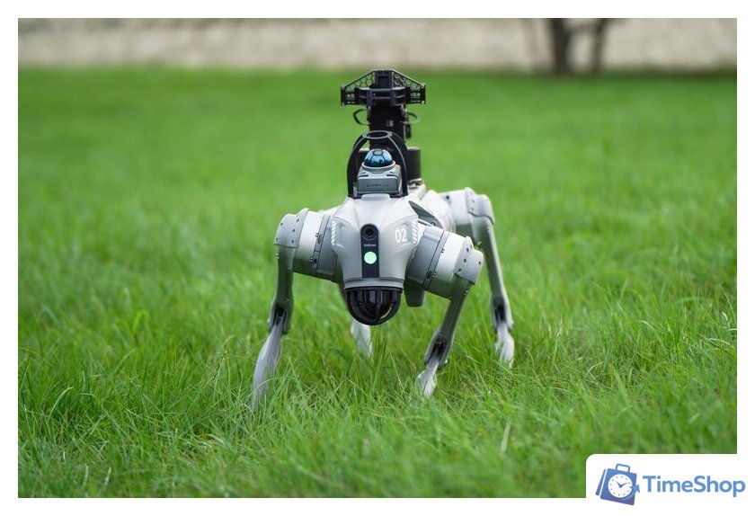 Умный робот-друг Unitree Go2 Pro - Изображение №3 — Интернет-магазин Time-Shop