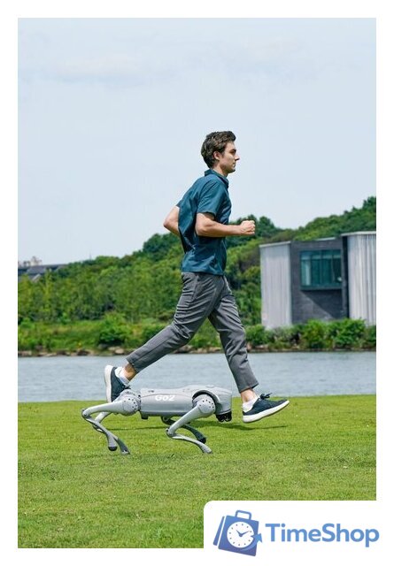 Умный робот-друг Unitree Go2 Pro - Изображение №5 — Интернет-магазин Time-Shop