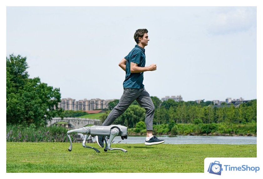 Умный робот-друг Unitree Go2 Pro - Изображение №6 — Интернет-магазин Time-Shop