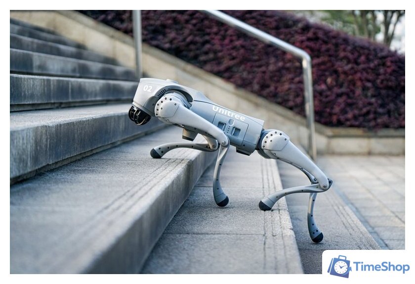 Умный робот-друг Unitree Go2 Pro - Изображение №11 — Интернет-магазин Time-Shop