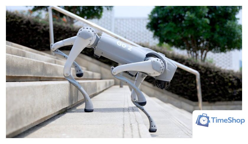 Умный робот-друг Unitree Go2 Pro - Изображение №22 — Интернет-магазин Time-Shop