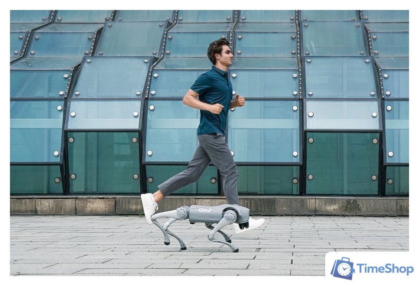 Умный робот-друг Unitree Go2 Pro - Изображение №8 — Интернет-магазин Time-Shop