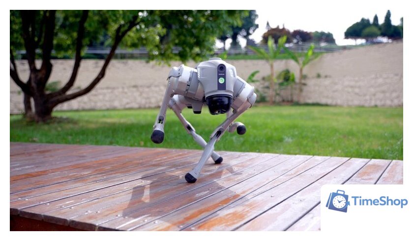 Умный робот-друг Unitree Go2 Pro - Изображение №16 — Интернет-магазин Time-Shop