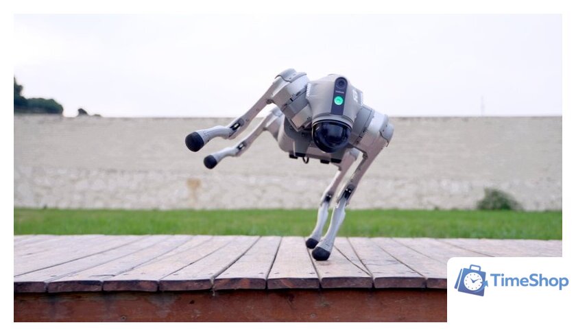 Умный робот-друг Unitree Go2 Pro - Изображение №17 — Интернет-магазин Time-Shop