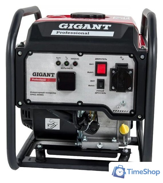 Бензиновый генератор Gigant Professional GPIGL-3000O - Изображение №1 — Интернет-магазин Time-Shop
