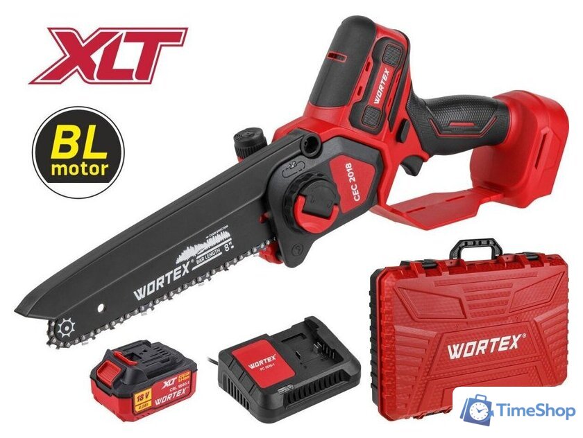 Аккумуляторная пила Wortex CEC 2018 ALL1 XLT Set 2329052 (с 1-им АКБ, кейс) - Изображение №1 — Интернет-магазин Time-Shop