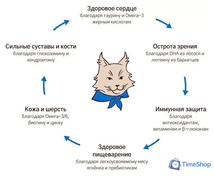 Сухой корм для кошек MyBestie Мэйн Кун (8 кг) - Изображение №7 — Интернет-магазин Time-Shop
