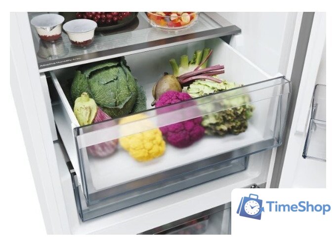 Холодильник Candy CNCQ2T620EW - Изображение №6 — Интернет-магазин Time-Shop