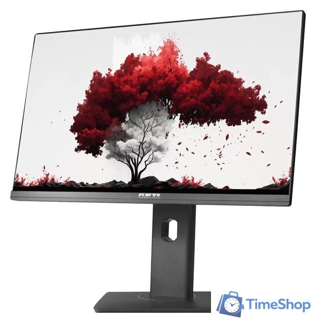 Монитор RDW Computers RDW2402K/F00B3 - Изображение №2 — Интернет-магазин Time-Shop