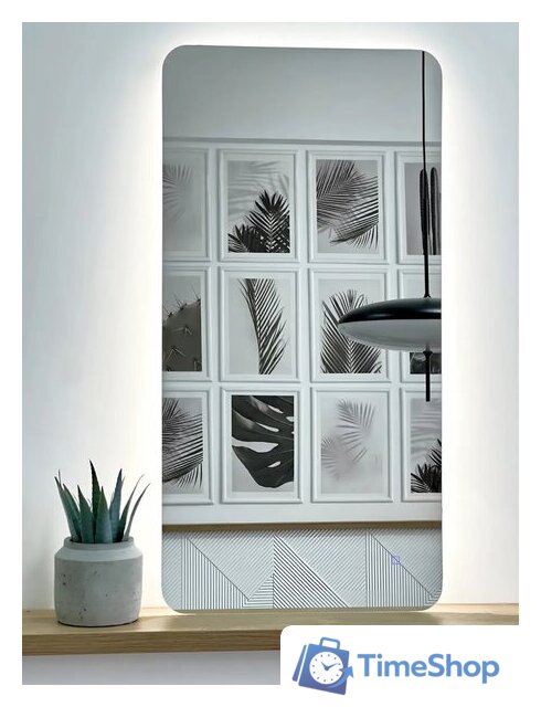 Зеркало с подсветкой  EMZE Smartphone 50x100 LED.SMART.50.100.4K (с подсветкой) - Изображение №1 — Интернет-магазин Time-Shop