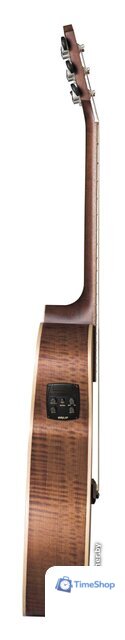 Электроакустическая гитара Baton Rouge T22S/ACE - Изображение №2 — Интернет-магазин Time-Shop