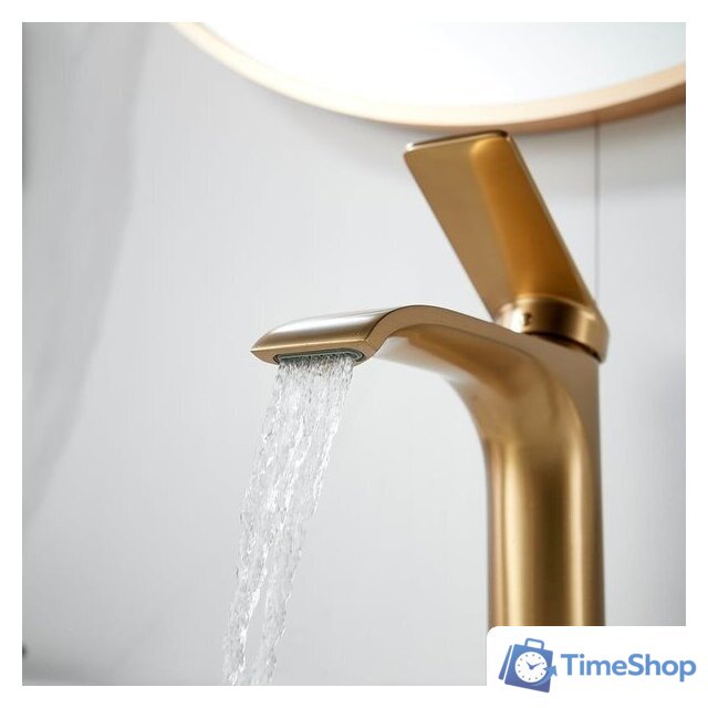 Смеситель Shevanik S4101G - Изображение №9 — Интернет-магазин Time-Shop