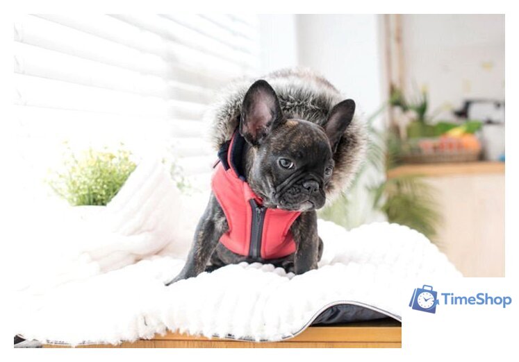 Жилетка для животных Puppia Orson PARD-VT1569-RD-L (красный) - Изображение №3 — Интернет-магазин Time-Shop